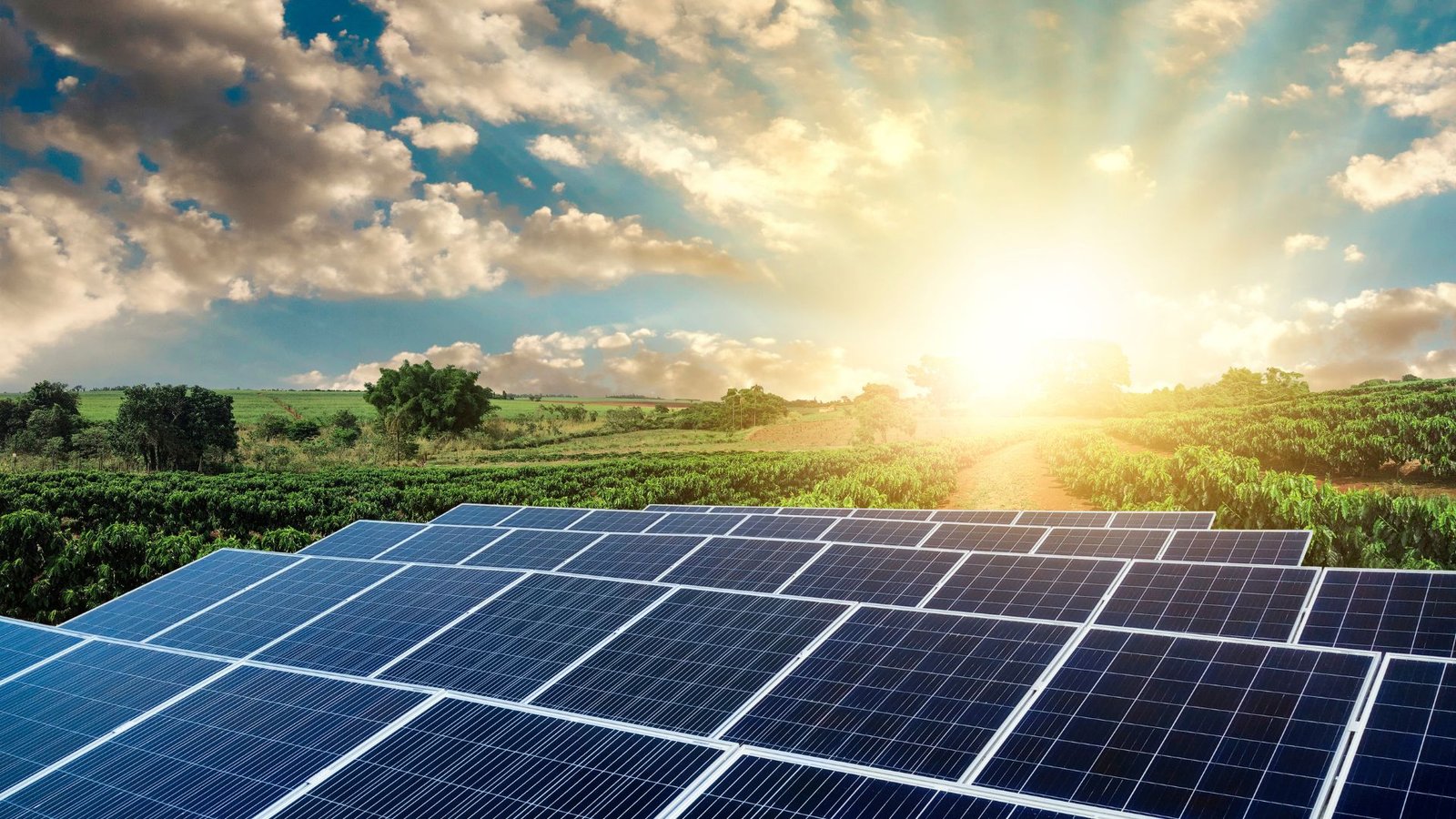 Solar Hybrid Inverter 5kW